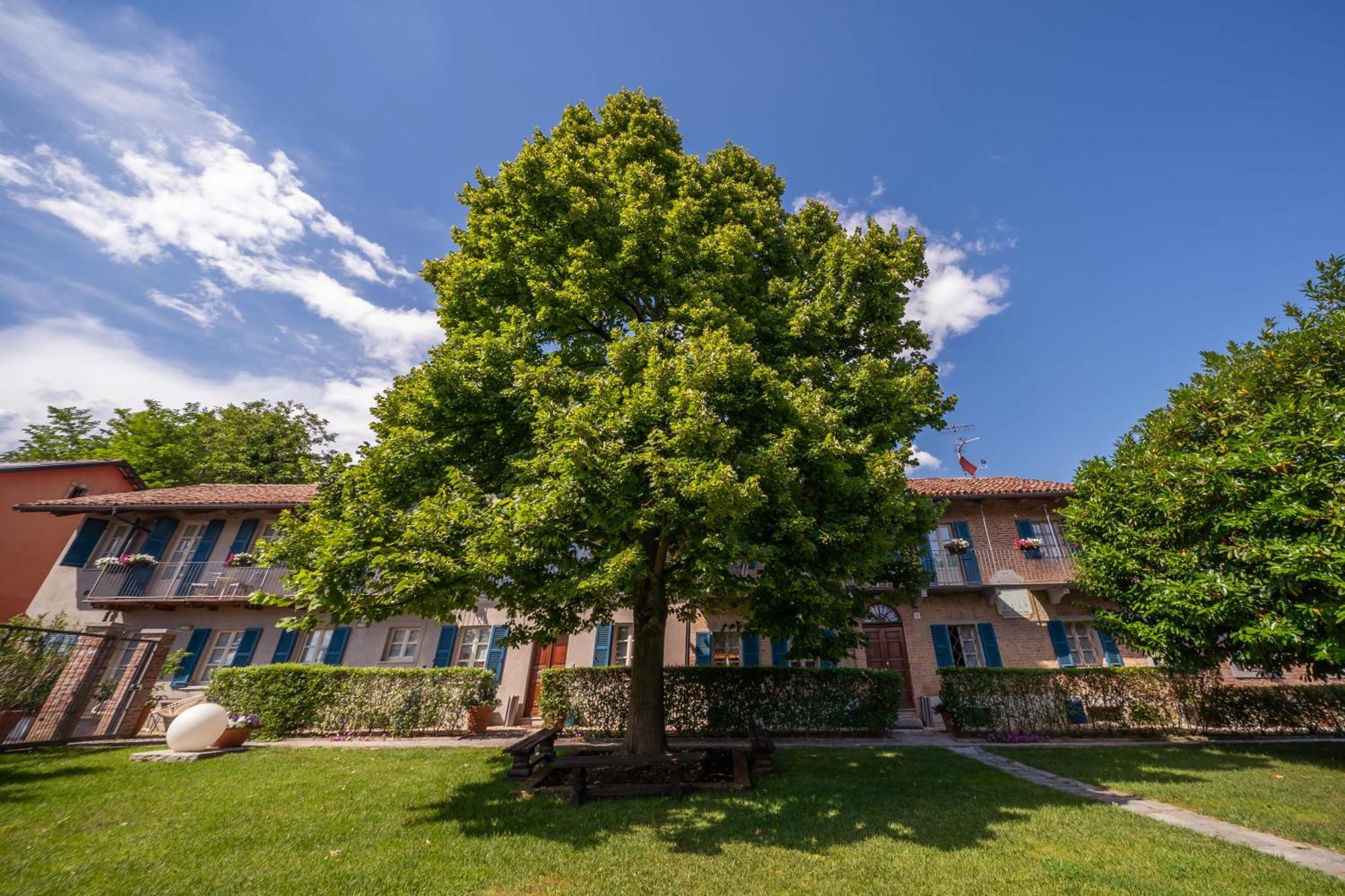 La Madernassa Resort - Casalora Dimora Storica Di Charme Guarene Exterior photo